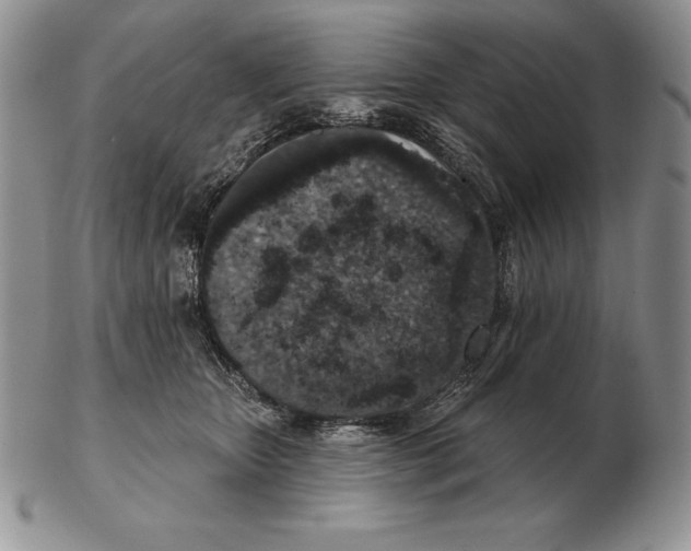 X0000102400467200808221852