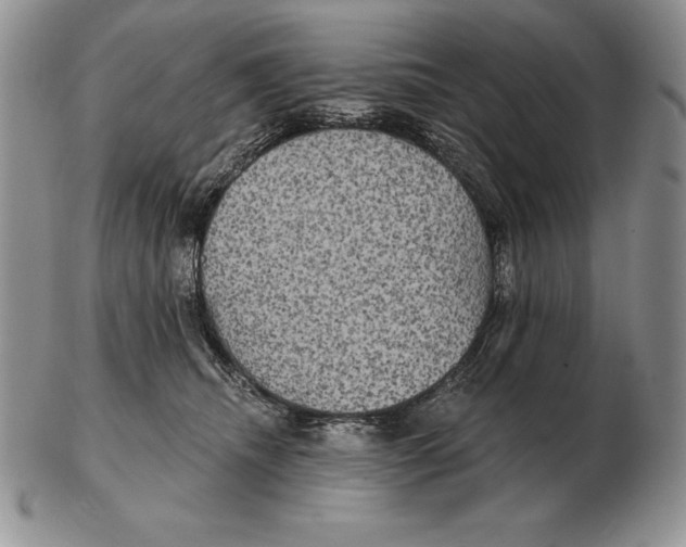 X0000102400468200808221852