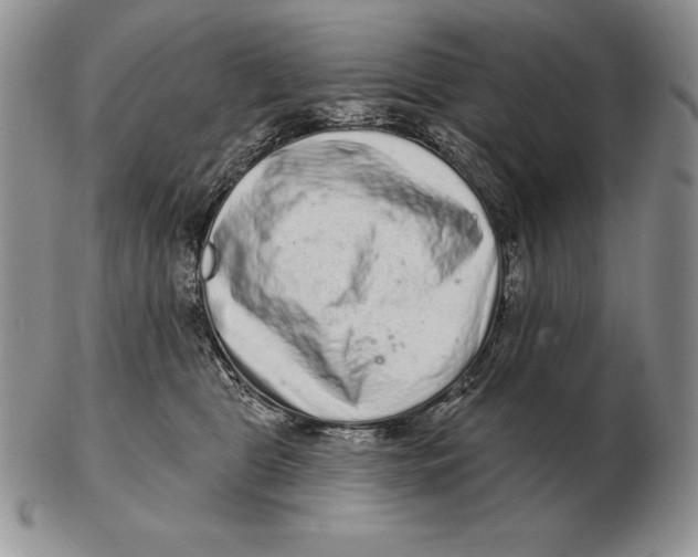 X0000102400469200808221852