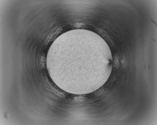 X0000102400470200808221852