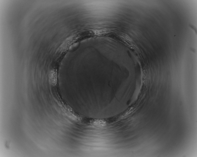 X0000102400471200808221852