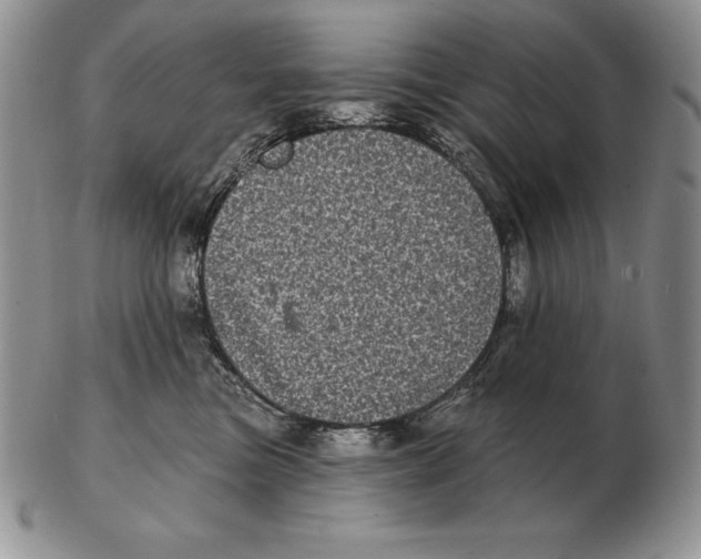 X0000102400473200808221852
