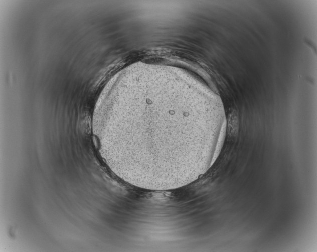 X0000102400474200808221852