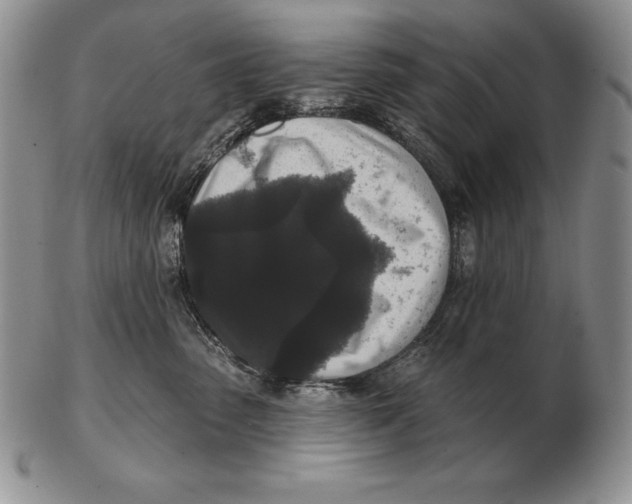 X0000102400475200808221852