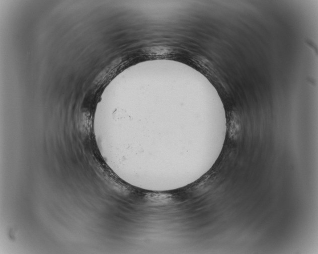 X0000102400476200808221852