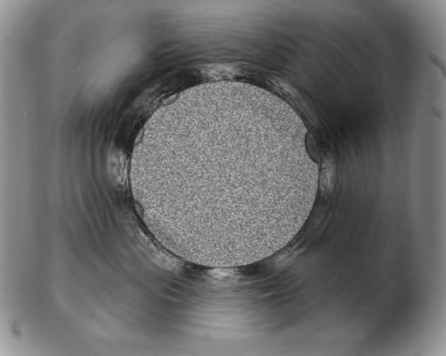 X0000102400477200808221852