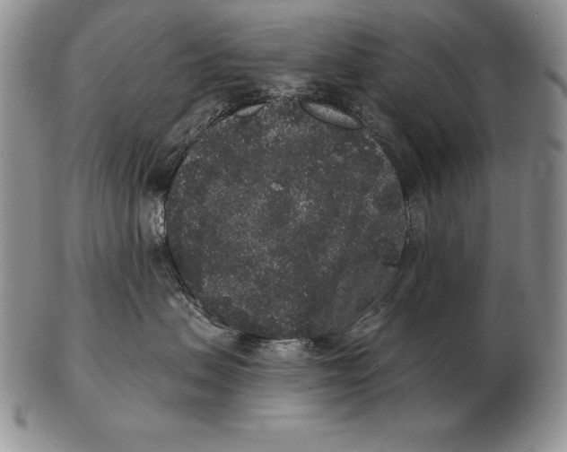 X0000102400479200808221852