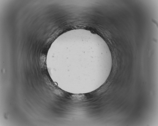 X0000102400480200808221852