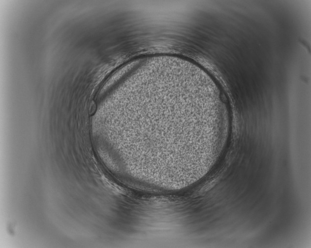 X0000102400481200808221851