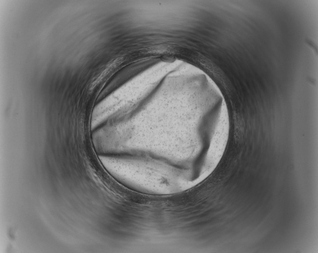 X0000102400482200808221851