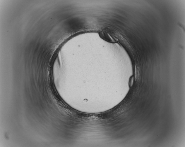 X0000102400483200808221851