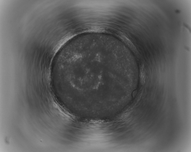 X0000102400484200808221851