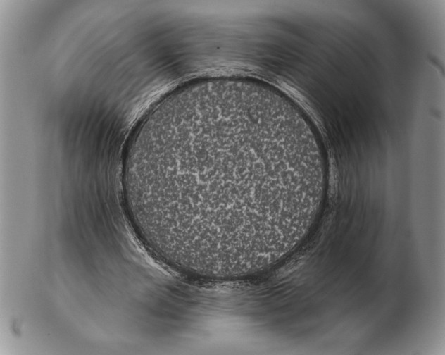 X0000102400485200808221851
