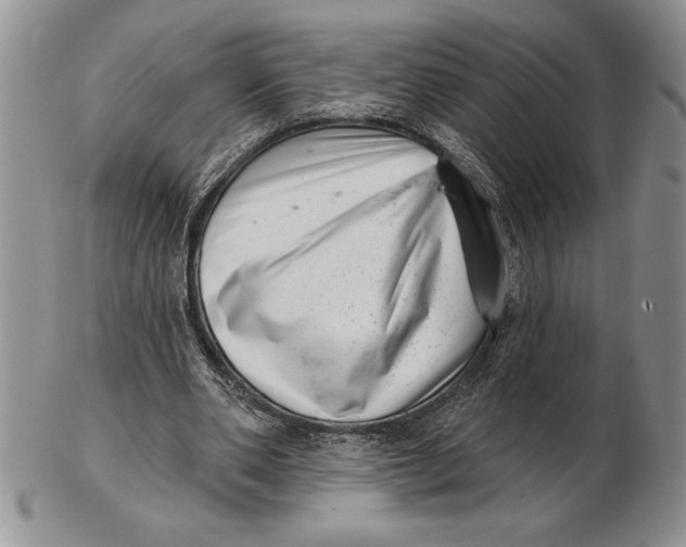 X0000102400486200808221851