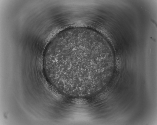 X0000102400487200808221851