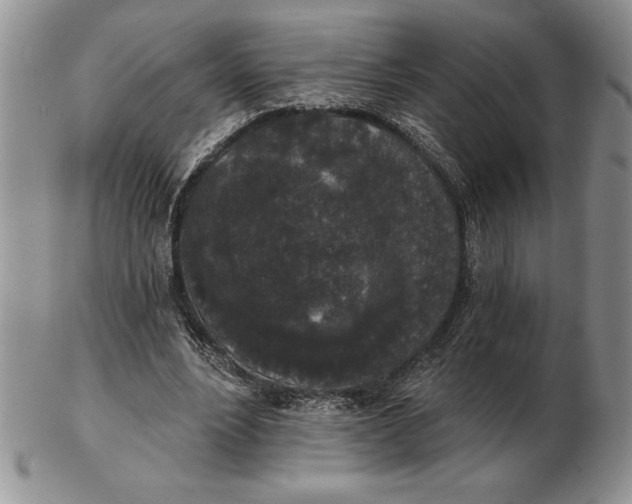 X0000102400488200808221851