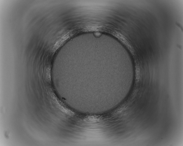 X0000102400489200808221851