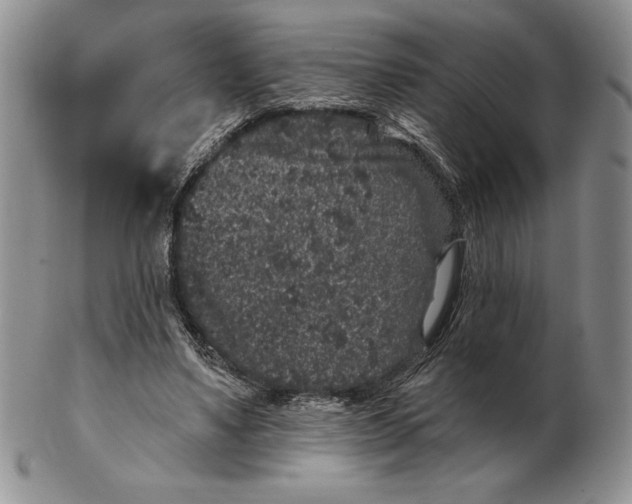 X0000102400491200808221851