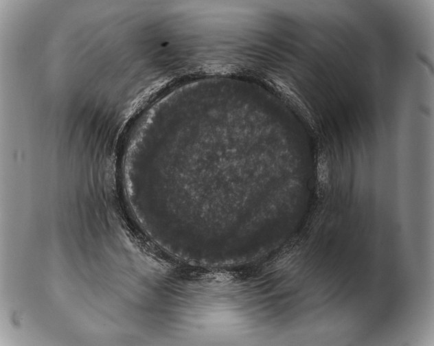 X0000102400492200808221851