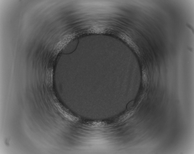 X0000102400493200808221851