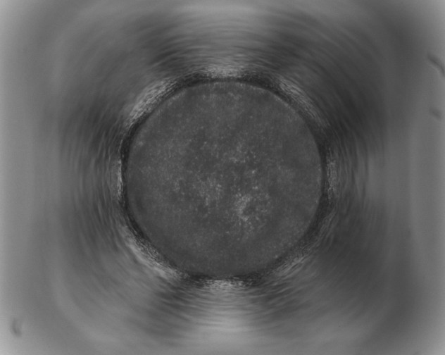 X0000102400494200808221851