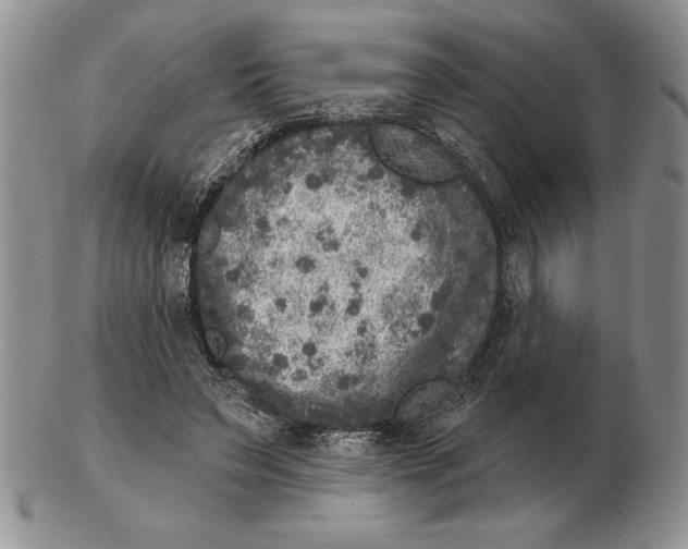 X0000102400495200808221851