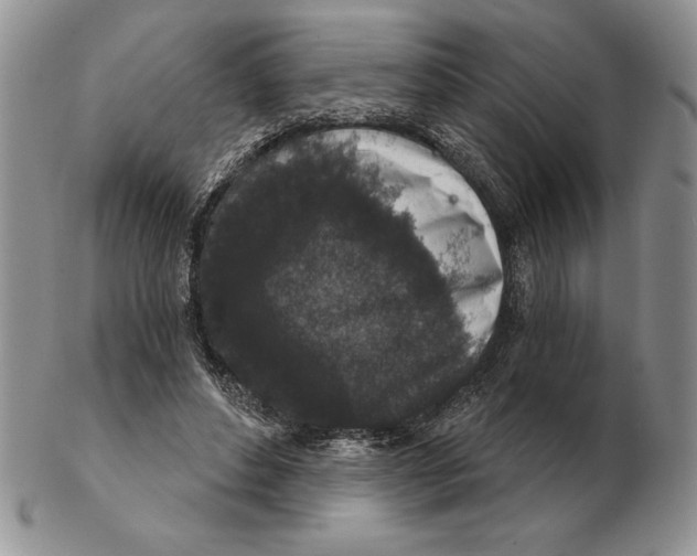 X0000102400496200808221851