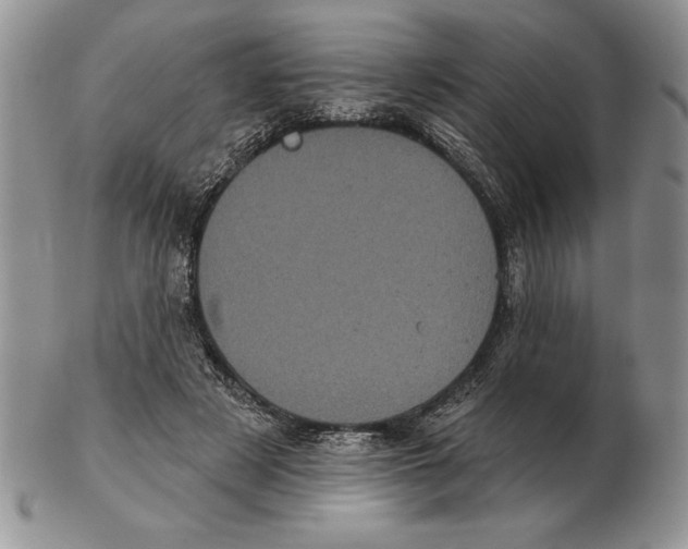X0000102400497200808221851