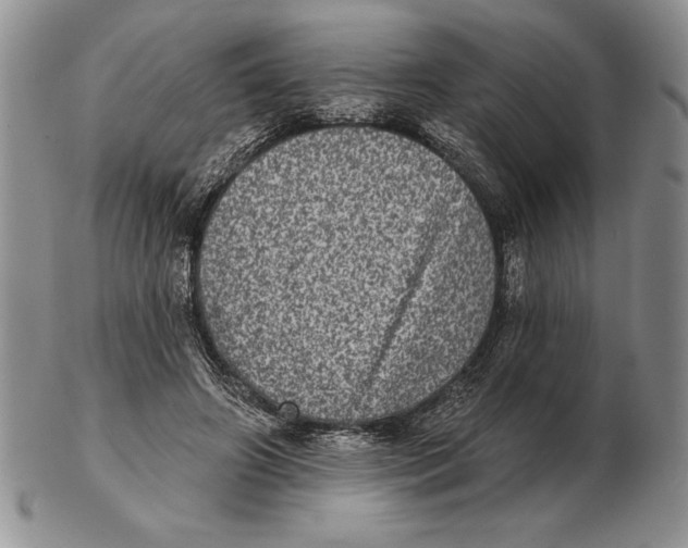 X0000102400498200808221851