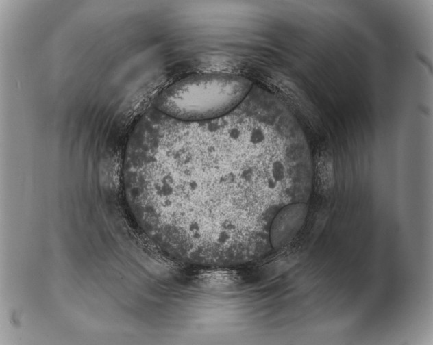 X0000102400499200808221851