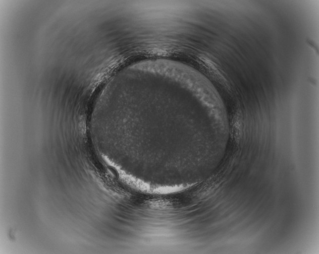 X0000102400500200808221851