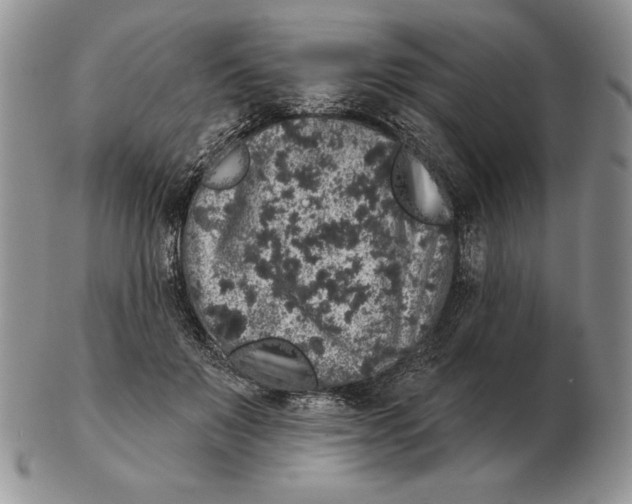X0000102400503200808221851