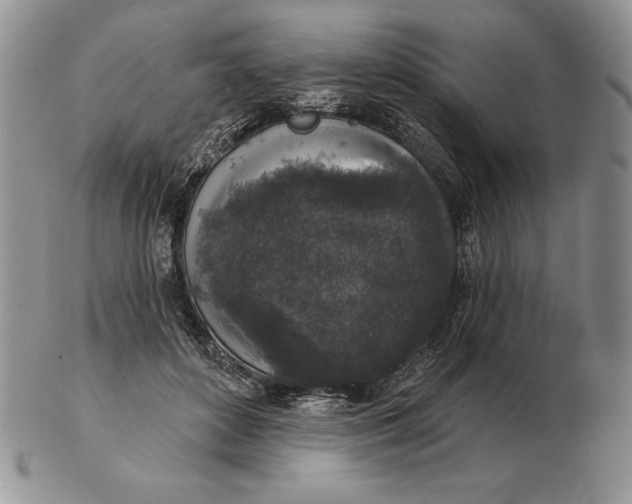 X0000102400504200808221851