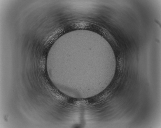 X0000102400505200808221851
