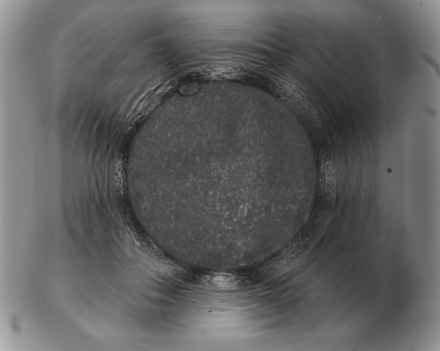X0000102400506200808221851
