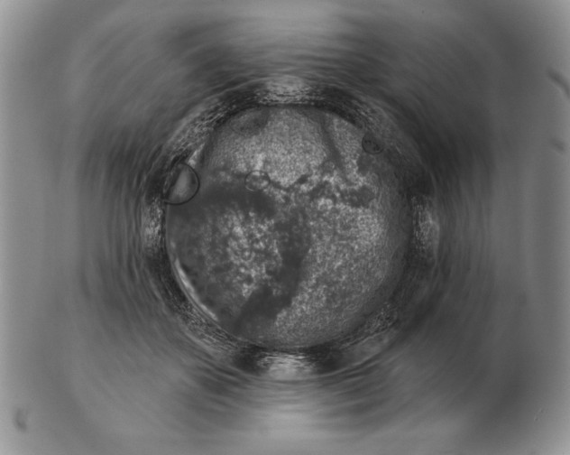 X0000102400507200808221851