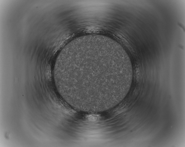 X0000102400508200808221851