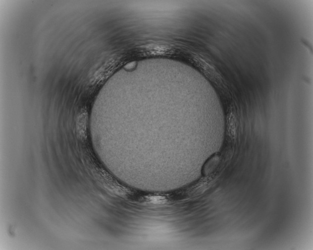 X0000102400509200808221851