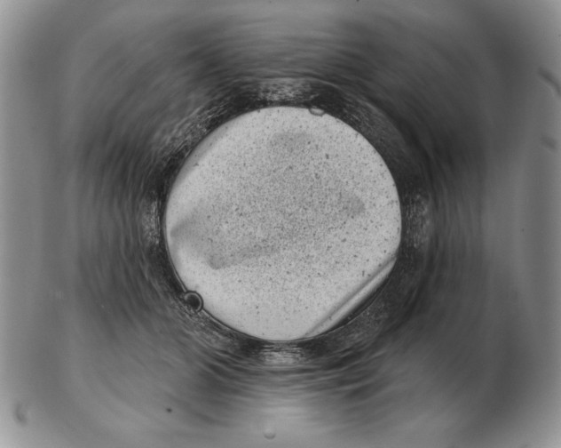 X0000102400510200808221851