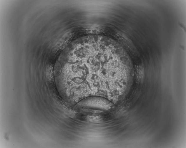 X0000102400511200808221851