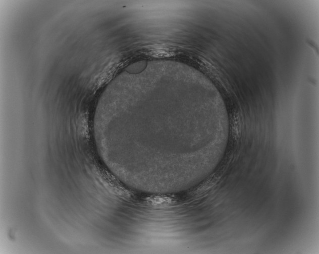 X0000102400512200808221851