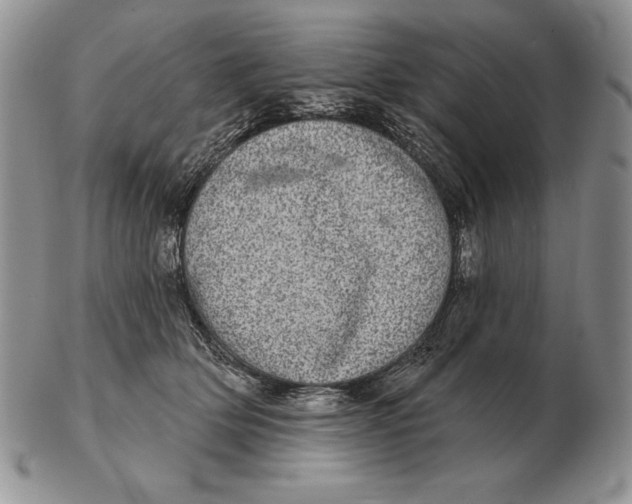 X0000102400514200808221851