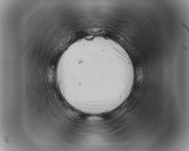 X0000102400515200808221851