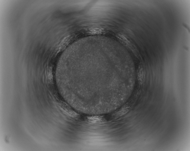 X0000102400516200808221851