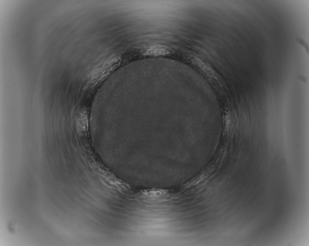 X0000102400517200808221851