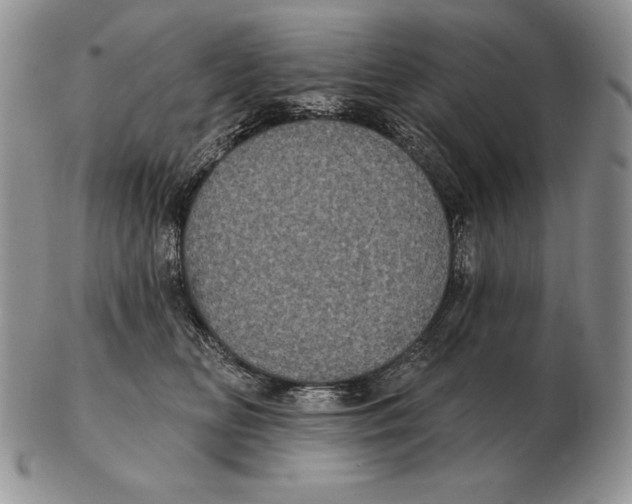 X0000102400518200808221851