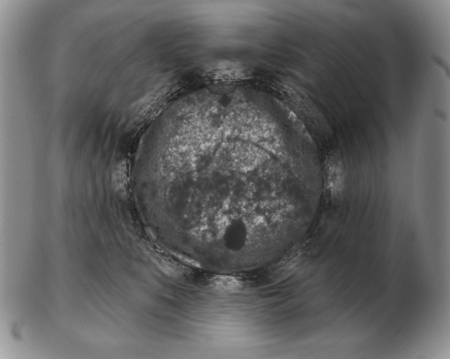 X0000102400519200808221851