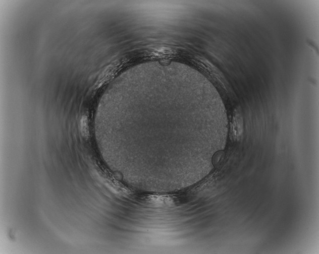 X0000102400520200808221850