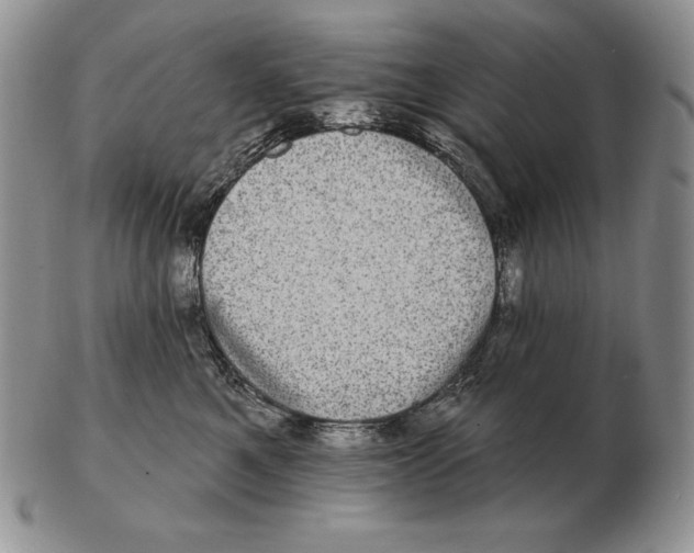 X0000102400521200808221850