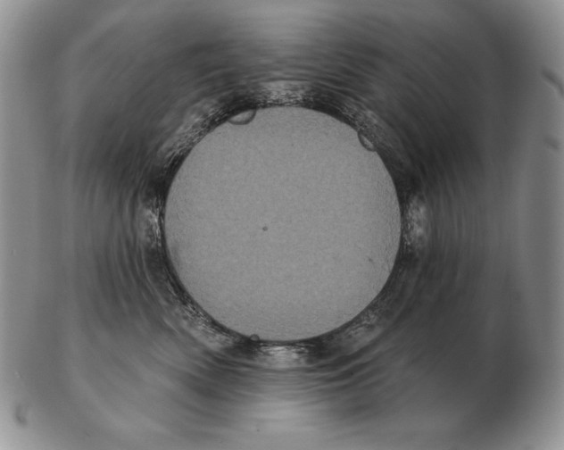 X0000102400522200808221850